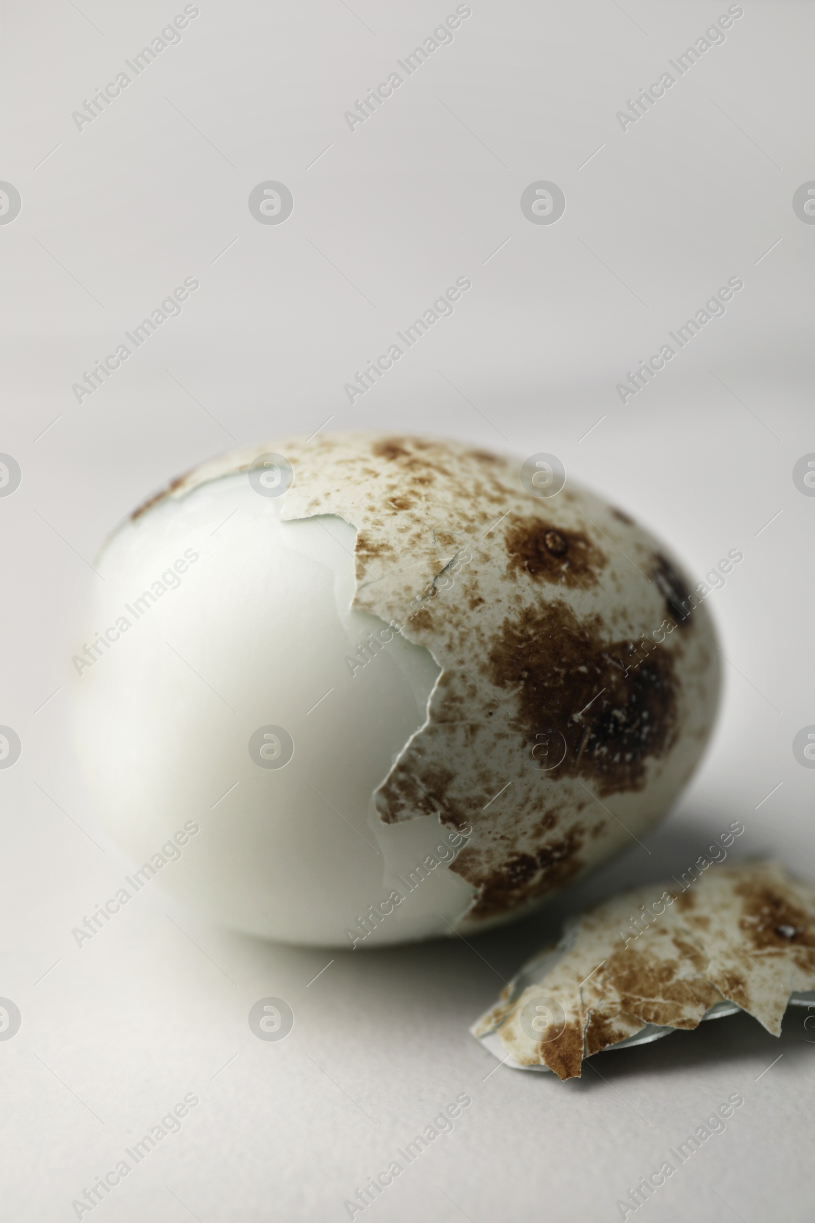 Photo of One boiled quail egg in shell on white table, closeup