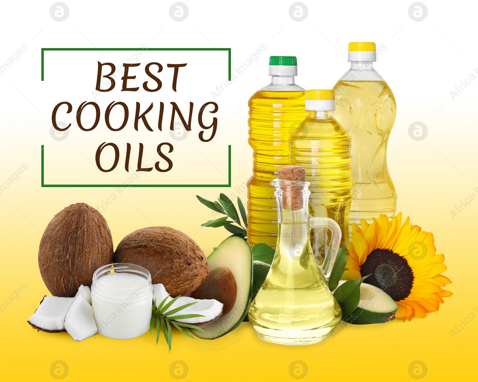 Image of Best for cooking. Different oils and ingredients on color background