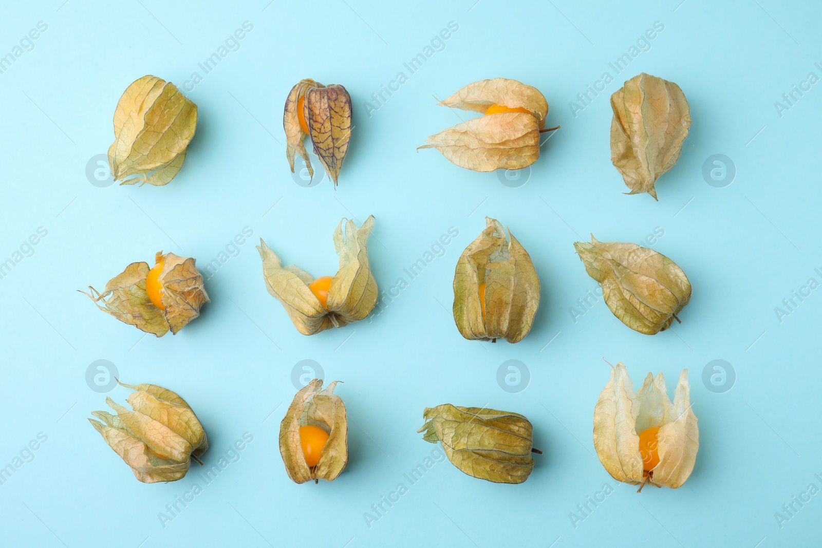 Photo of Ripe physalis fruits with calyxes on light blue background, flat lay