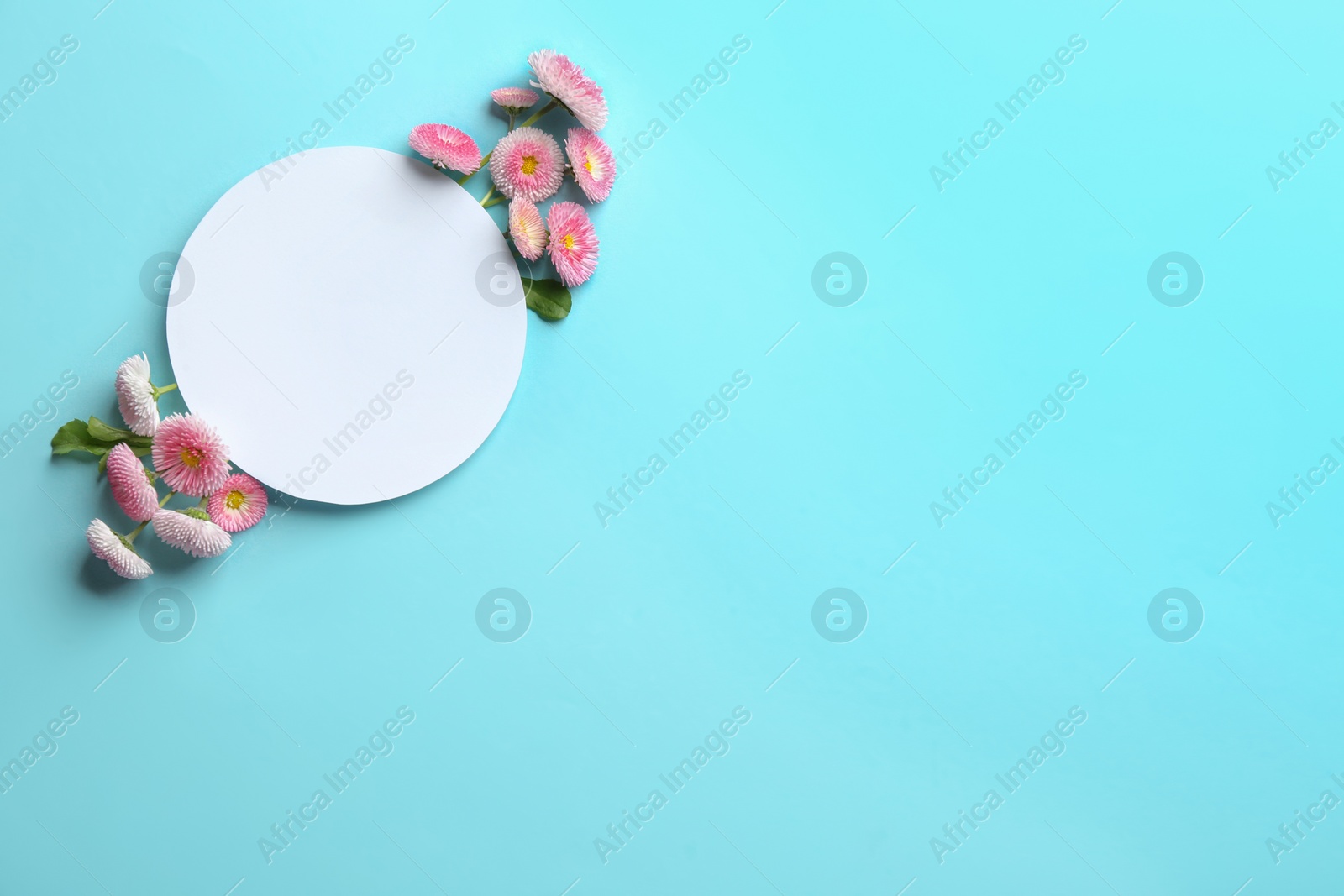 Photo of Flat lay composition with spring daisy flowers and card on color background. Space for text