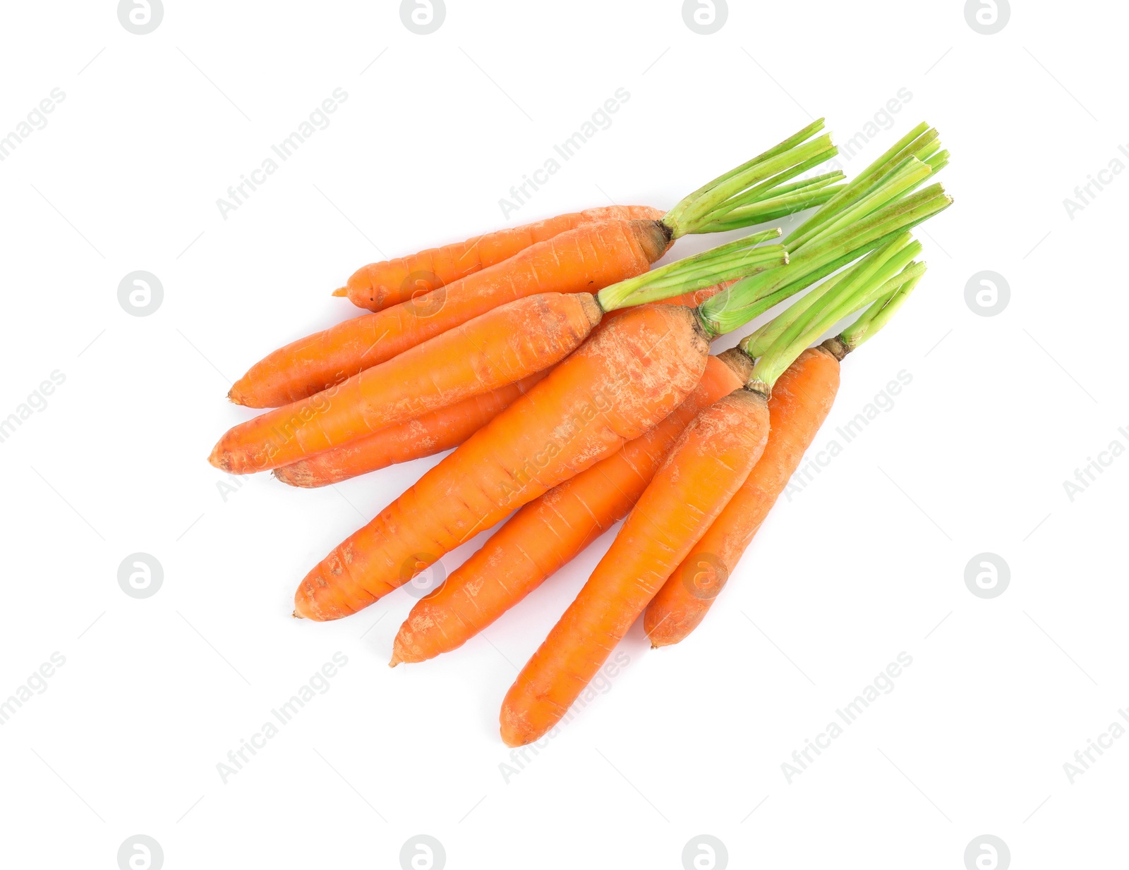 Bunch of fresh ripe carrots isolated on white Photo of Bunch of fresh ripe carrots isolated on white