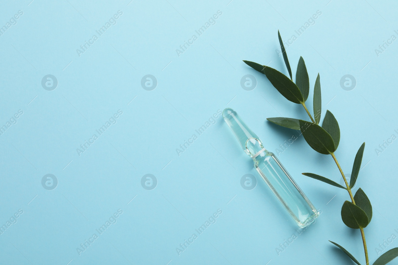 Photo of Medical ampoule with solution near eucalyptus on light blue background, flat lay. Space for text