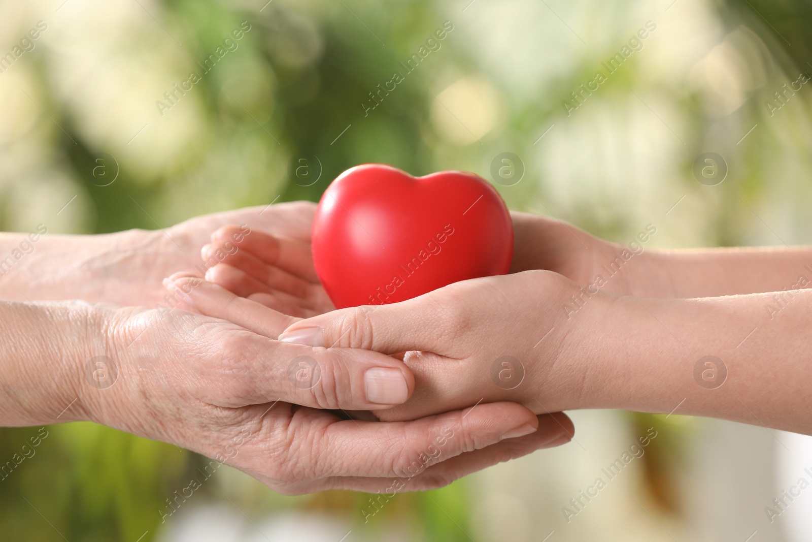 Photo of Young and elderly women holding red heart in hands on blurred green background, closeup