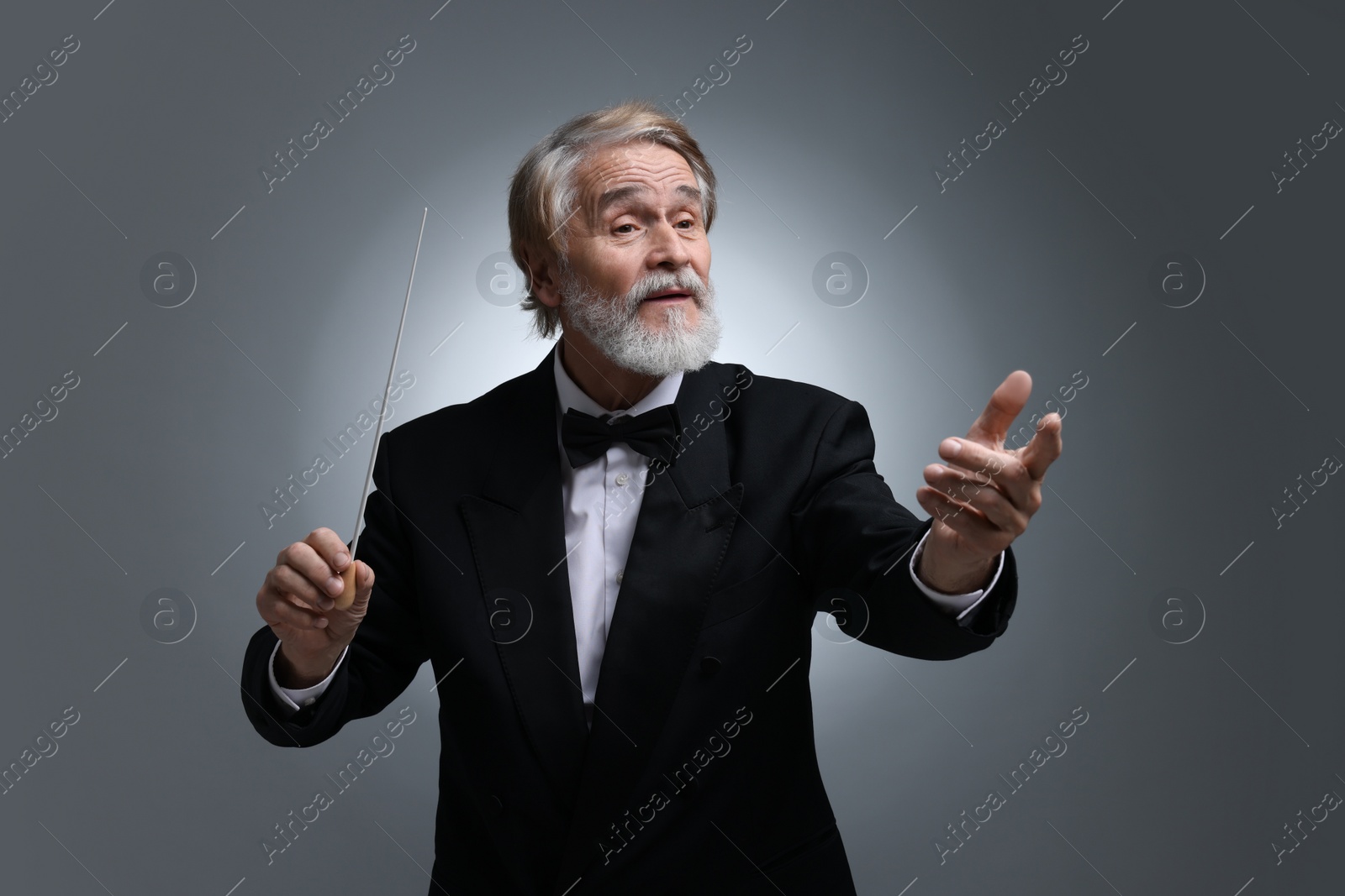 Photo of Professional conductor with baton on grey background