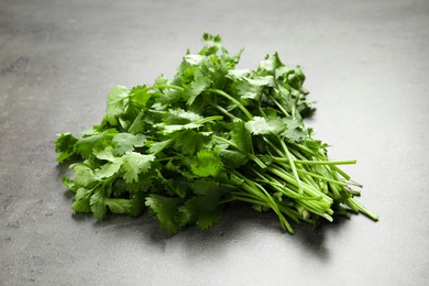Bunch of fresh green cilantro on grey table