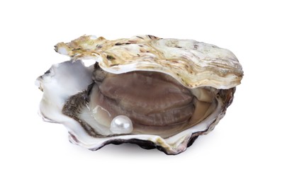 Photo of Open oyster with pearl isolated on white