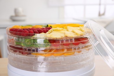 Photo of Cut fruits and with vegetables in dehydrator machine, closeup