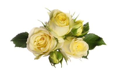 Photo of Beautiful fresh yellow roses with leaves isolated on white