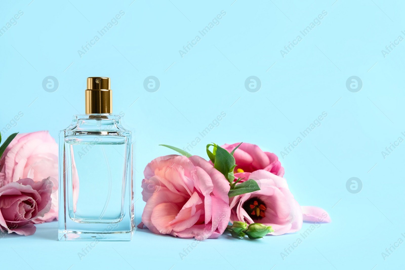 Photo of Bottle of perfume and beautiful flowers on light blue background. Space for text