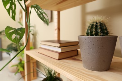 Photo of Beautiful houseplants and books on shelving unit near beige wall, closeup