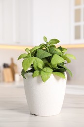 Photo of Artificial potted herb on white marble table in kitchen. Home decor