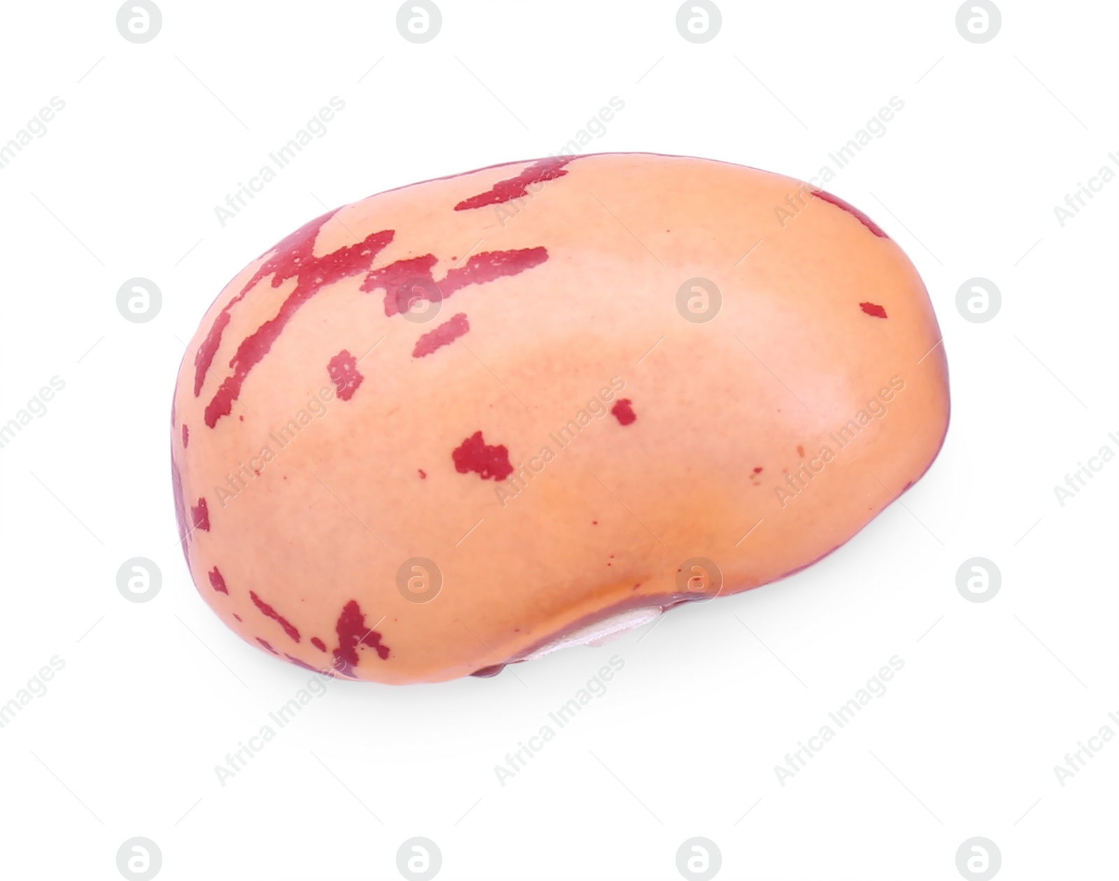 Photo of One raw kidney bean isolated on white