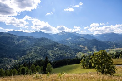 Image of Beautiful mountain landscape with meadow and forest on sunny day