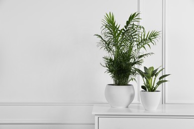 Photo of Different houseplants in pots on chest of drawers near white wall, space for text