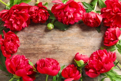 Flat lay composition with beautiful blooming peonies on wooden background