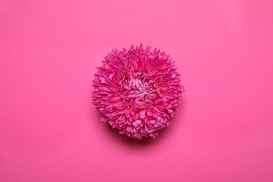 Photo of Beautiful flower on pink background, top view