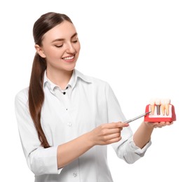 Photo of Dentist holding educational model of dental implant on white background