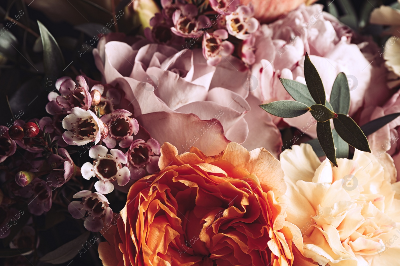 Photo of Beautiful bouquet of different flowers, closeup. Floral card design with dark vintage effect