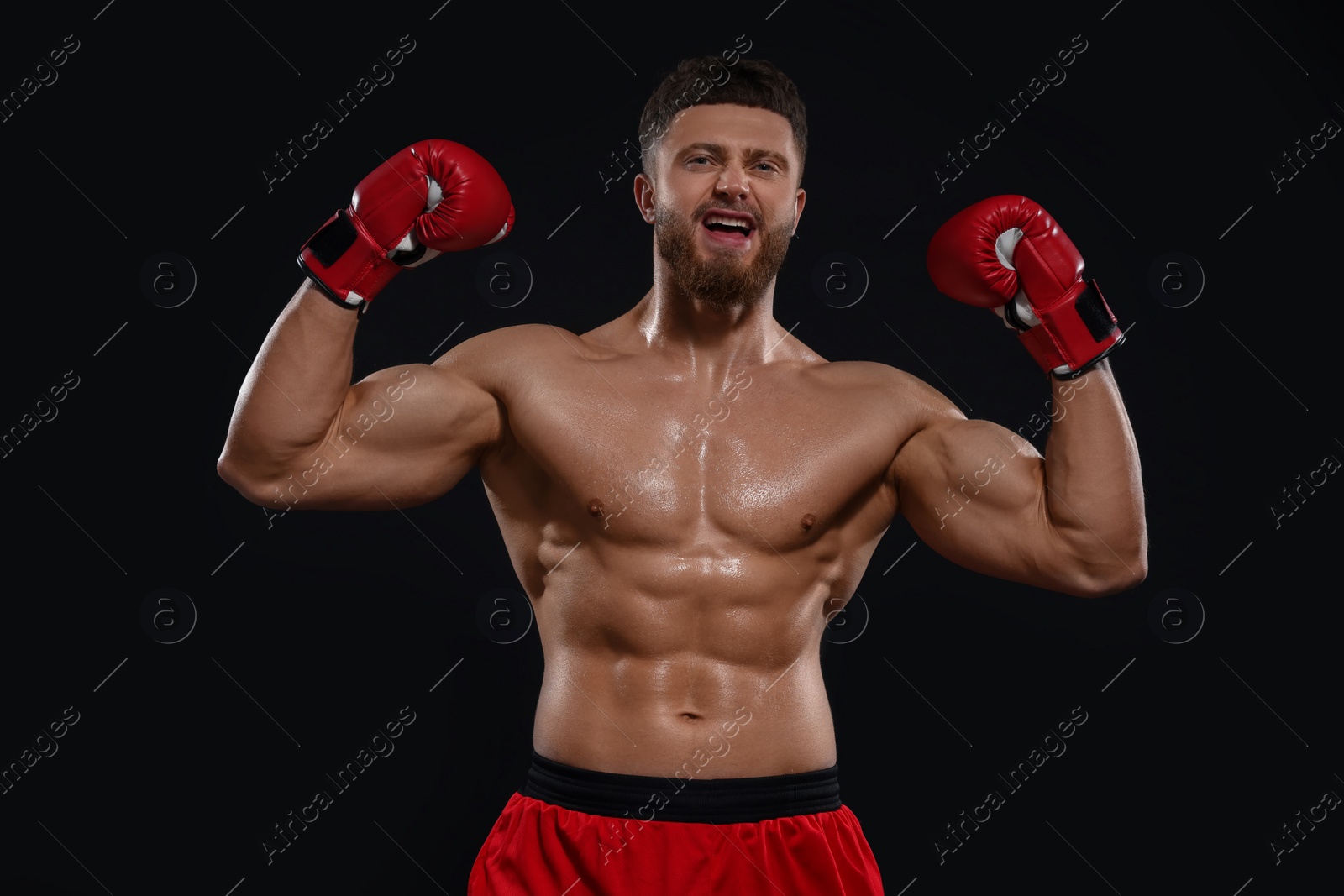 Photo of Man in boxing gloves celebrating victory on black background