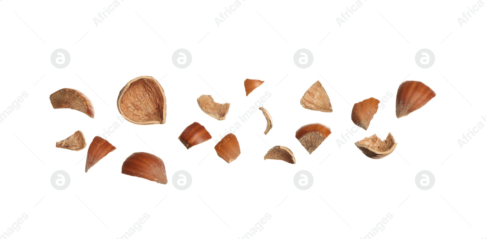 Photo of Pieces of hazelnut shell on white background