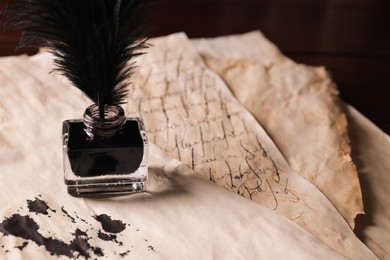 Inkwell with feather on vintage parchment, closeup