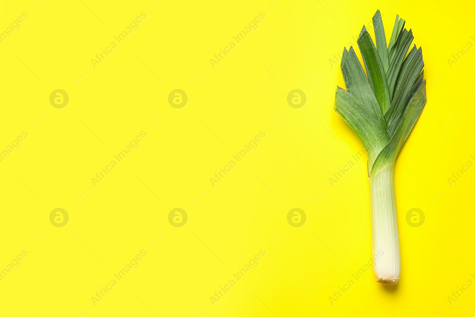 Photo of Fresh raw leek on color background, top view with space for text. Ripe onion