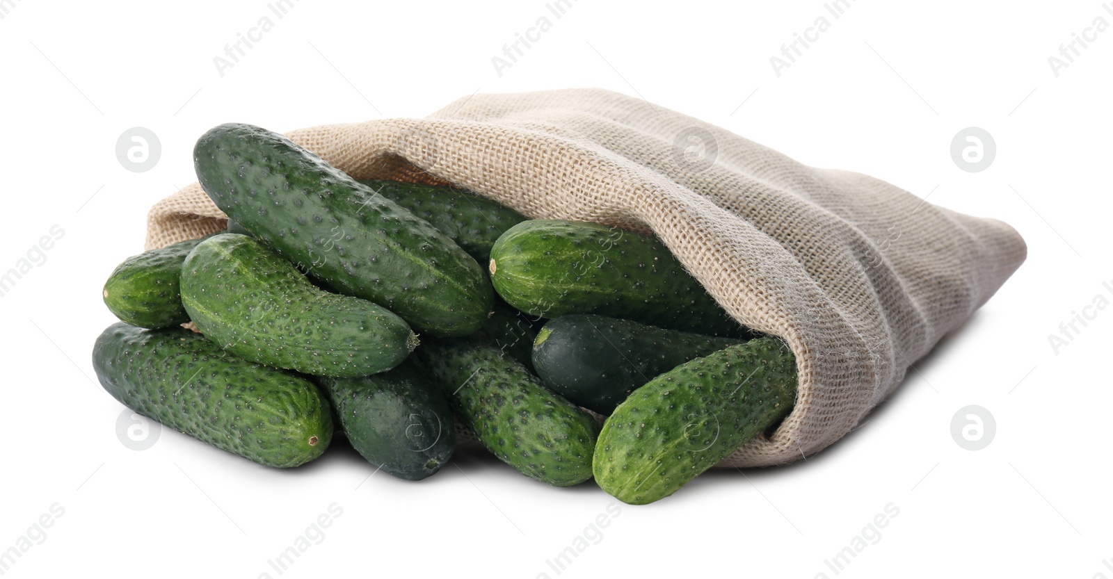 Photo of Fresh ripe cucumbers in sack on white background