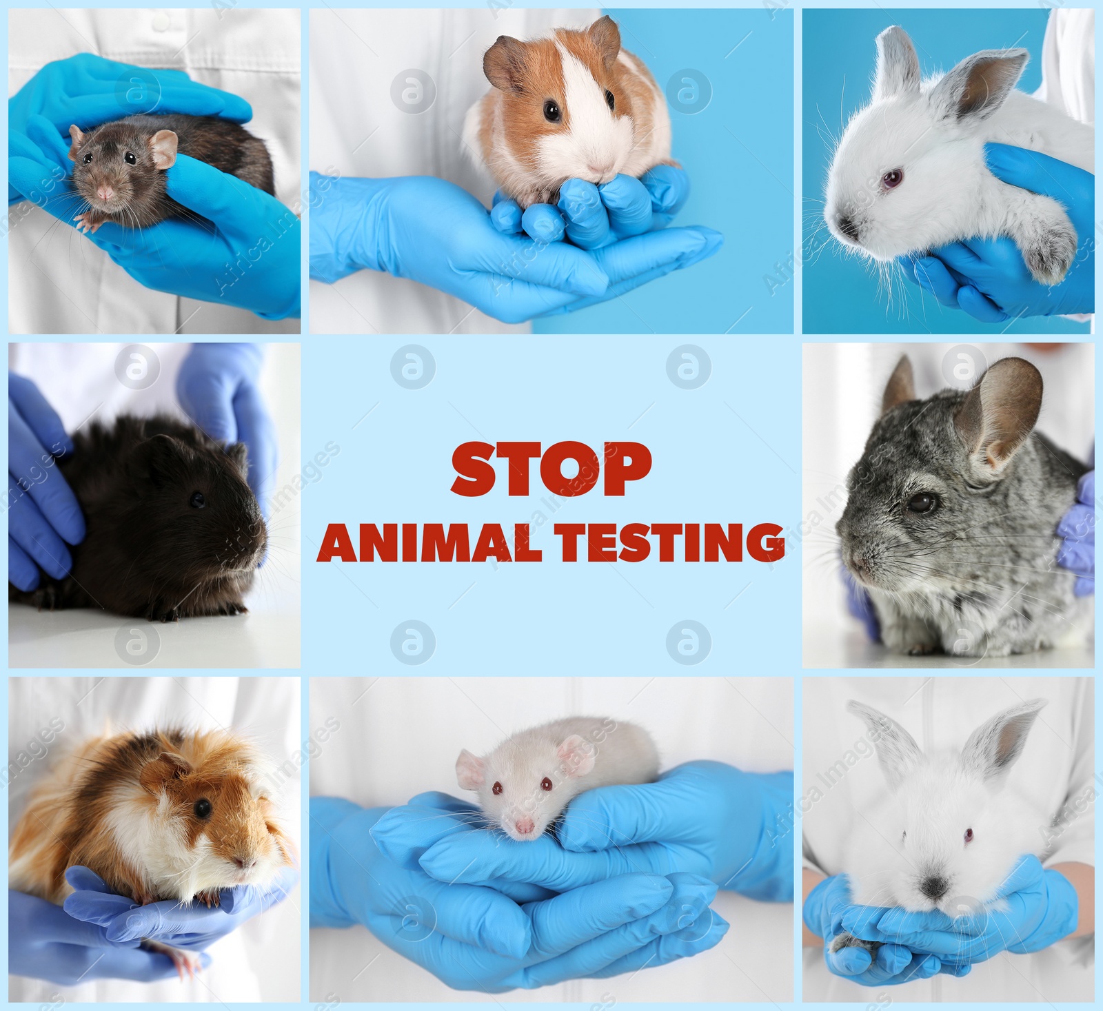 Image of Collage with different photos and text STOP ANIMAL TESTING 