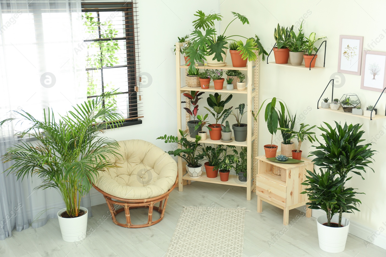 Photo of Stylish room interior with different home plants