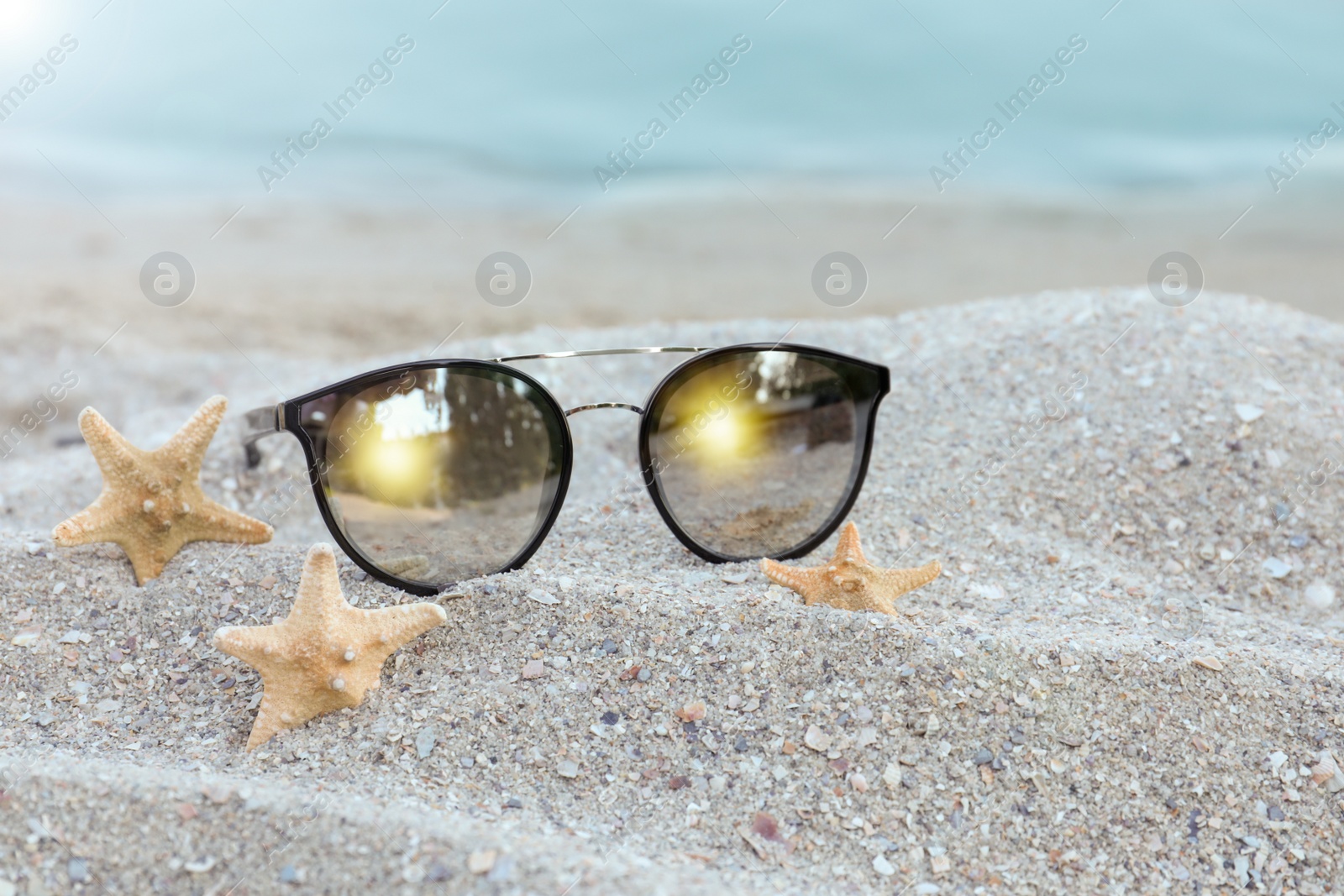 Photo of Stylish sunglasses and starfishes on sandy beach