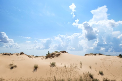 Photo of Picturesque landscape of desert and blue sky