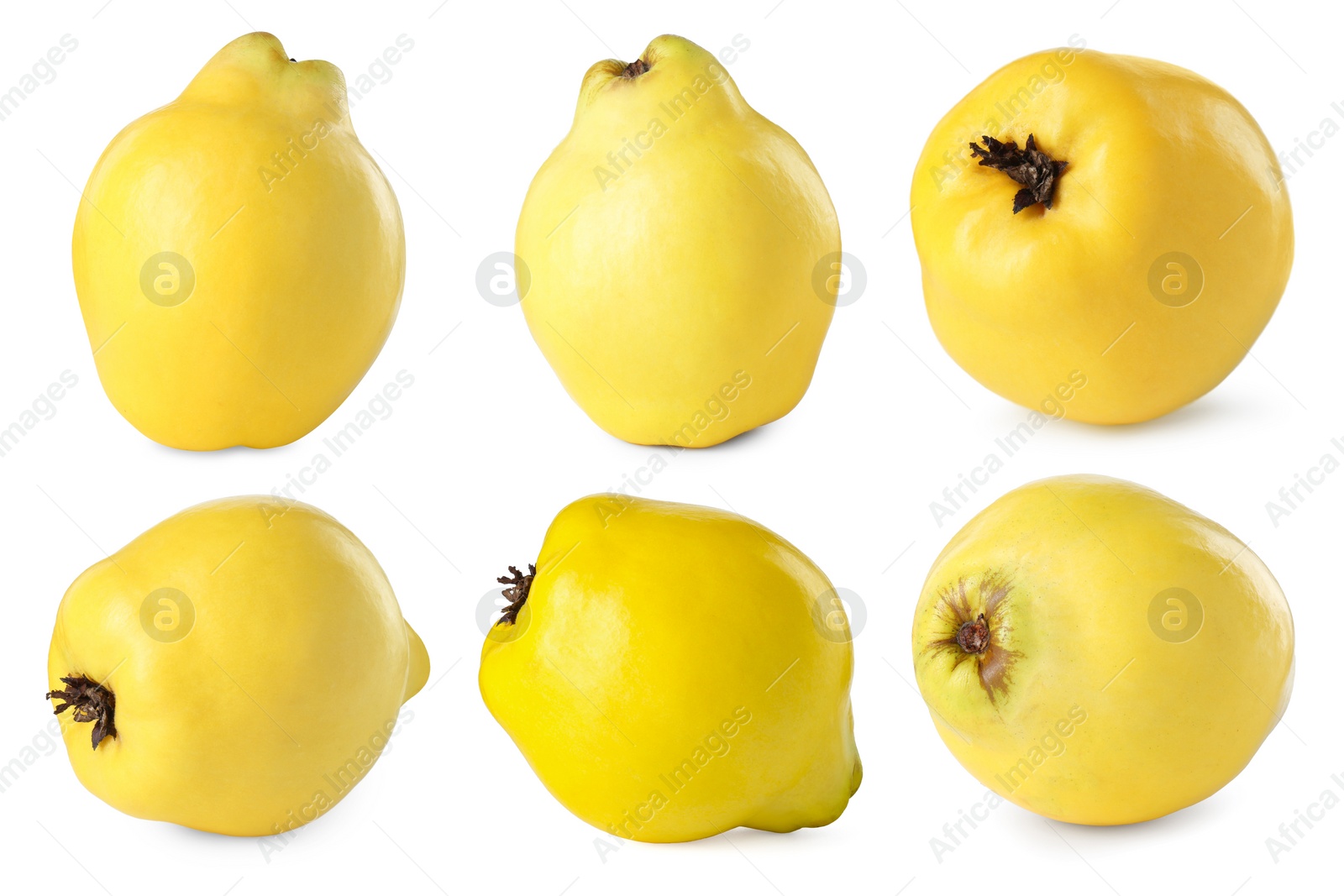 Image of Fresh ripe quince fruits isolated on white, set