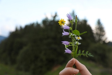 Woman holding blooming meadow flowers outdoors, closeup with space for text