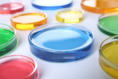 Many Petri dishes with colorful liquids on white background, closeup