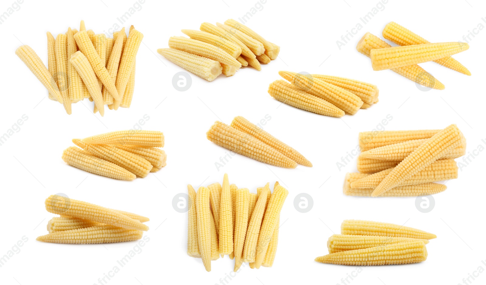 Image of Set with tasty baby corn cobs on white background 