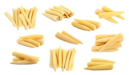 Image of Set with tasty baby corn cobs on white background 