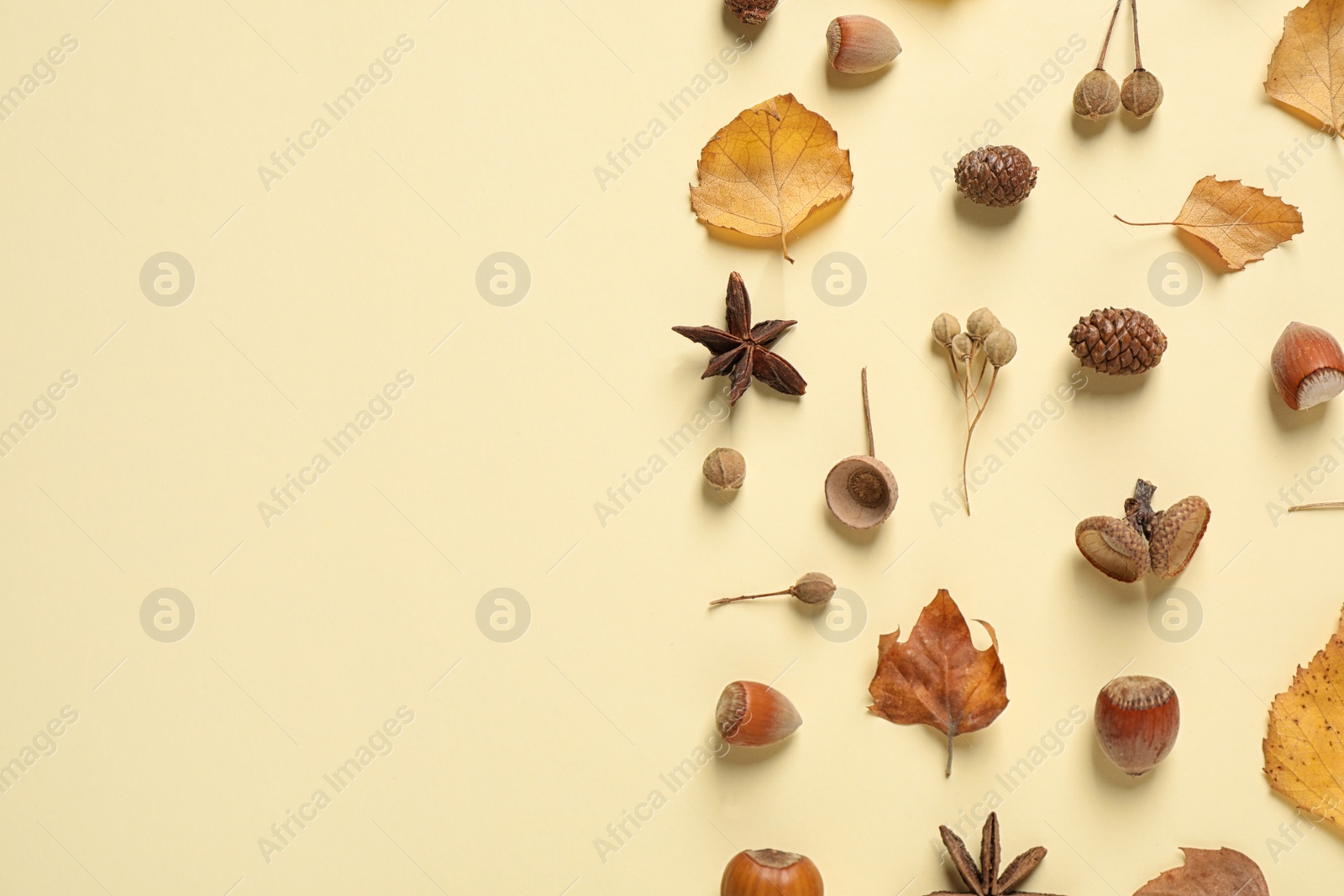 Photo of Flat lay composition with autumn leaves on beige background. Space for text