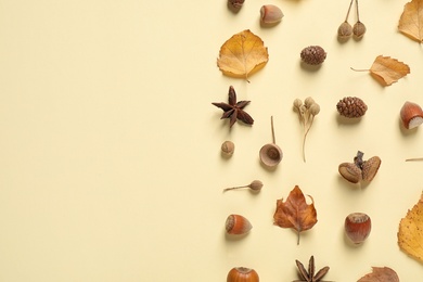 Flat lay composition with autumn leaves on beige background. Space for text