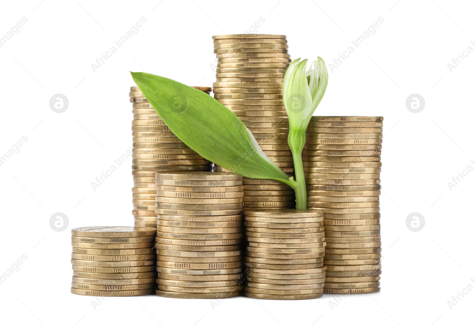 Photo of Stacks of coins and green plant on white background. Prosperous business