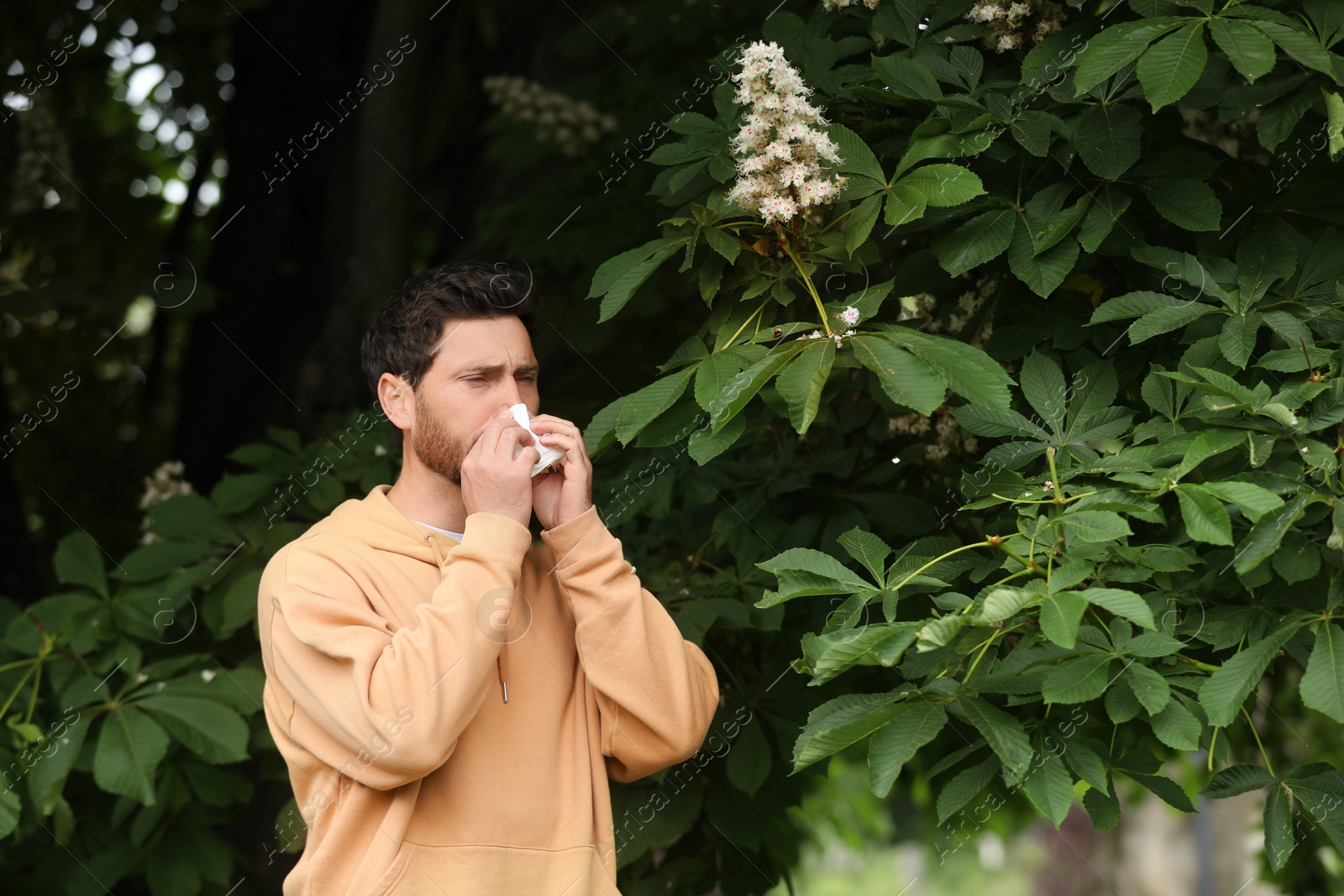 Photo of Man suffering from seasonal spring allergy near tree in park