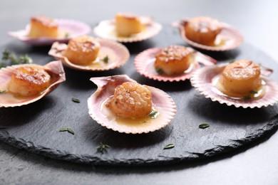 Photo of Delicious fried scallops in shells on grey table, closeup
