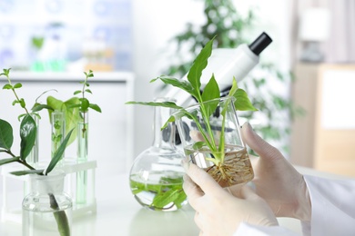 Lab assistant holding beaker with plant on blurred background, closeup. Biological chemistry