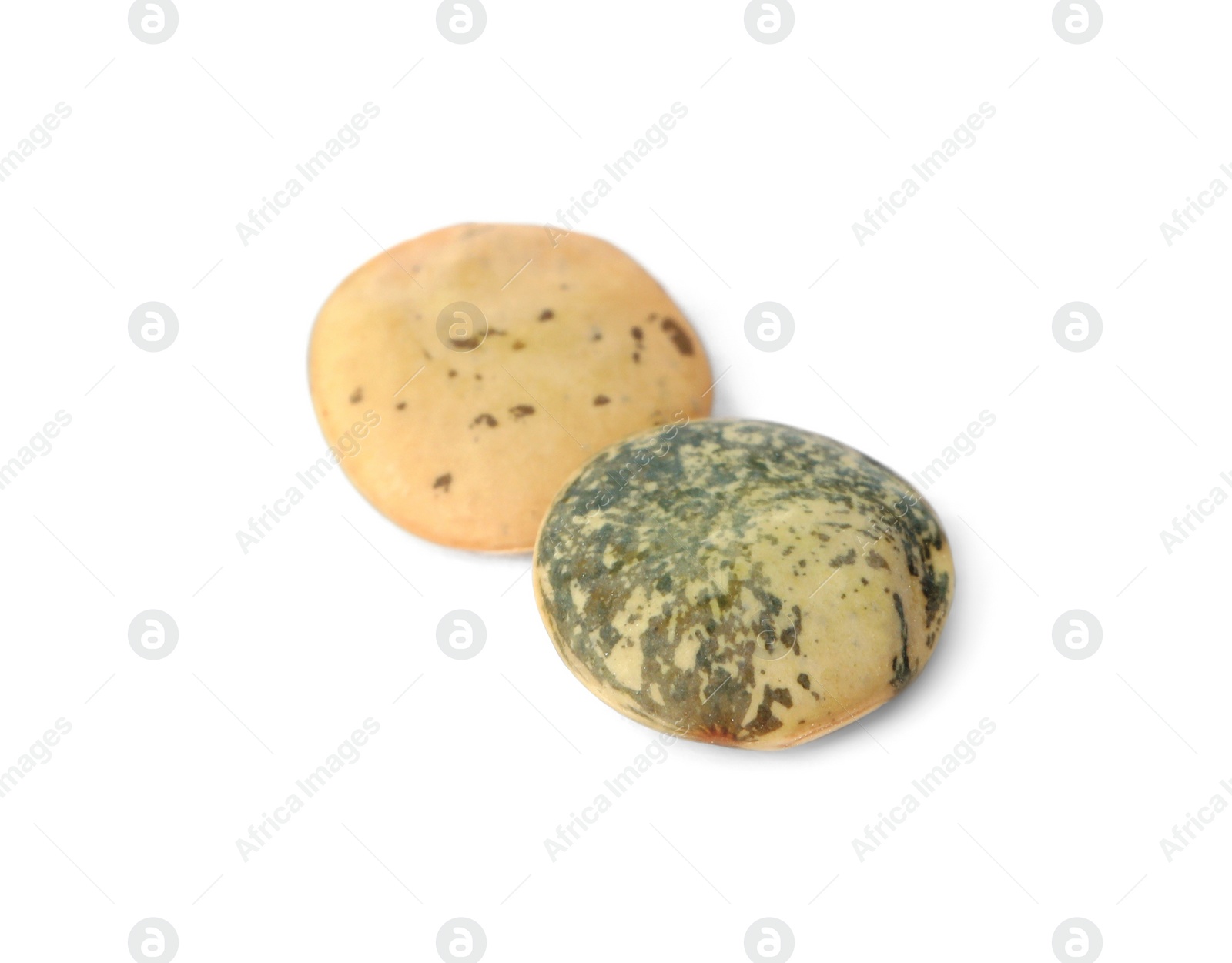 Photo of Raw lentils on white background. Vegetable planting