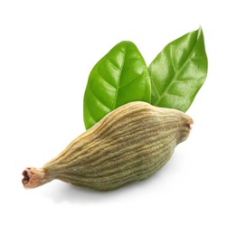 Image of Dry cardamom pod and green leaves on white background