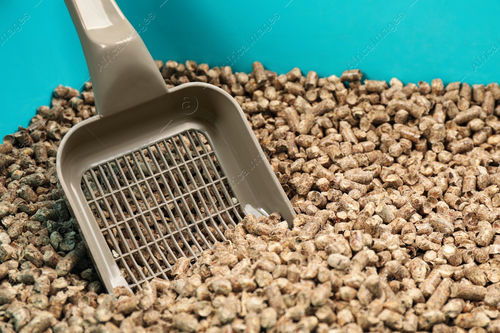 Photo of Cat litter tray with wood pellet filler and scoop, closeup