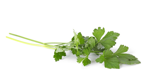 Photo of Aromatic fresh green parsley isolated on white