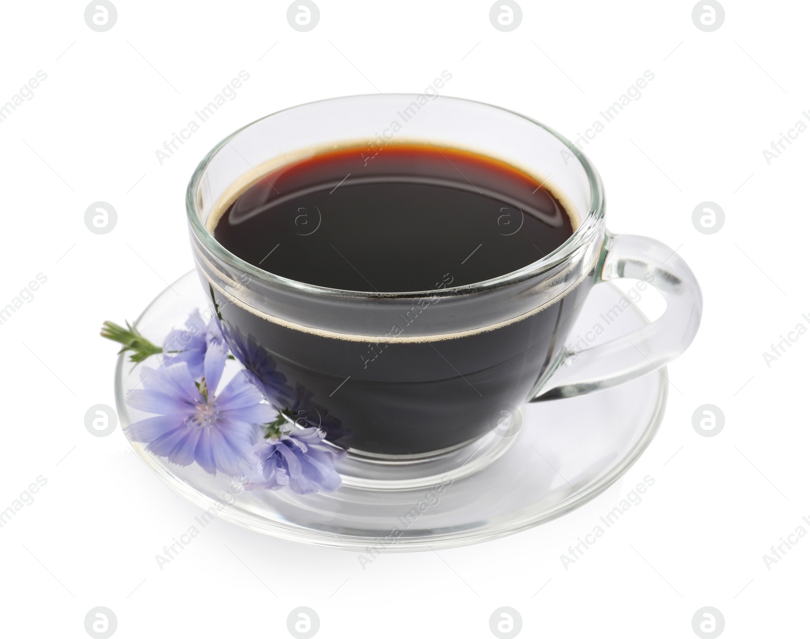 Photo of Glass cup of delicious chicory drink and flowers on white background