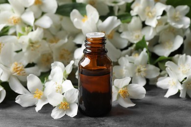 Photo of Jasmine essential oil and fresh flowers on grey table