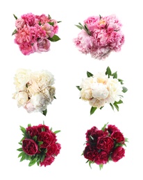 Set of beautiful peonies on white background. Bright bouquets