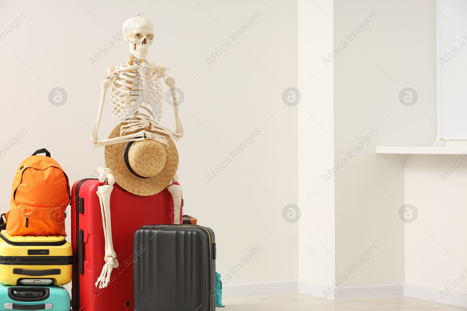 Photo of Waiting concept. Human skeleton with hat and suitcases indoors, space for text